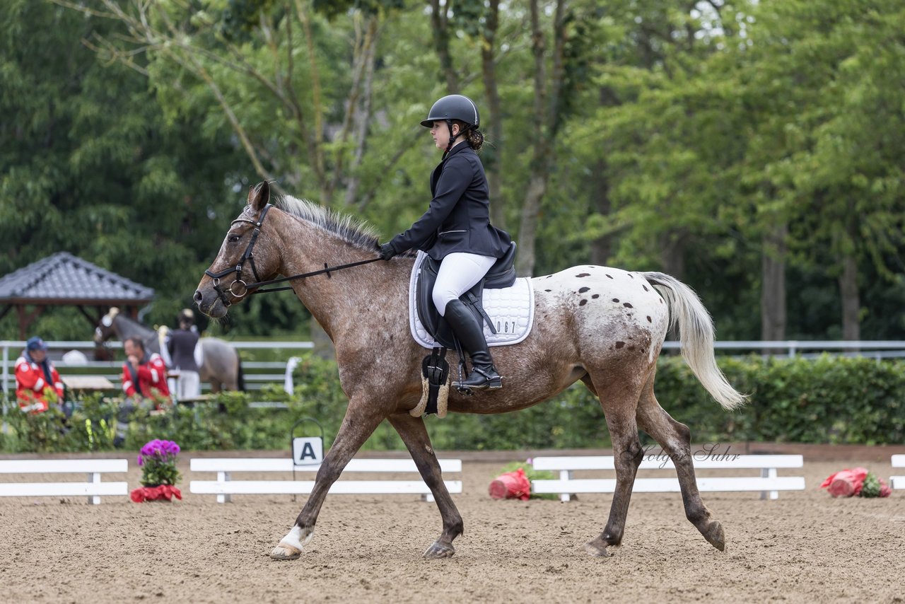 Bild 2 - Pony Akademie Turnier